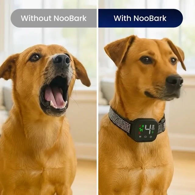 puppyBark image