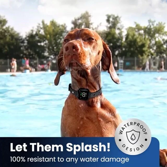 puppyBark image
