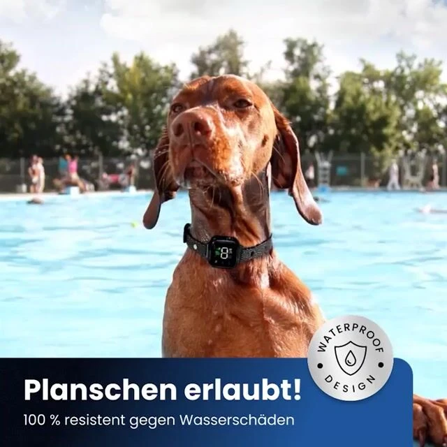 puppyBark image